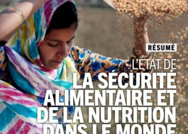 16 octobre 2024 - Journée mondiale de l'Alimentation